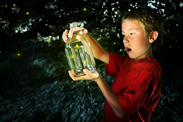 boy jar mason glass looking captured insect awe woods outdoor learning pet portrait