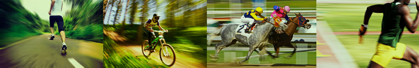 horse running relay cycling events tour de france