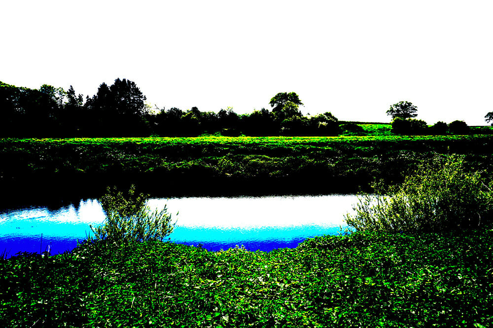 Toy Camera mode effect creative filter iphotography