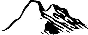 vector