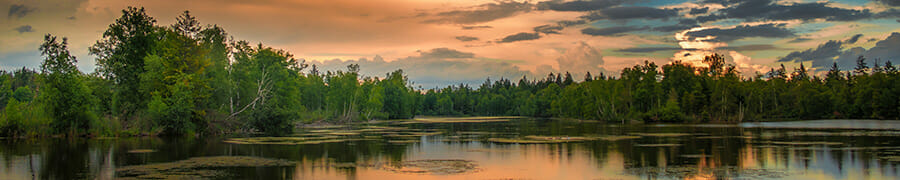 landscape photography water mountain trees at sunset