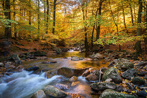 long exposure stream of water autumn foliage red orange green yellow leaves