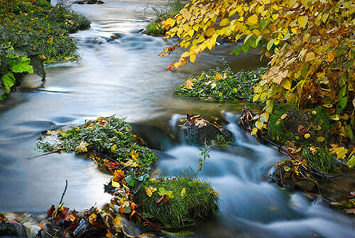 long exposure stream of water autumn foliage red orange green yellow leaves