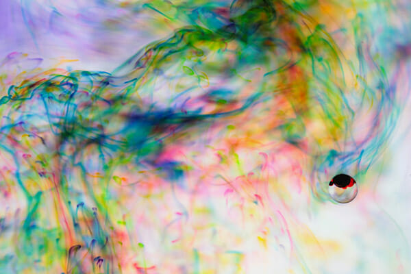Laura Harrison Abstract photograph portrait