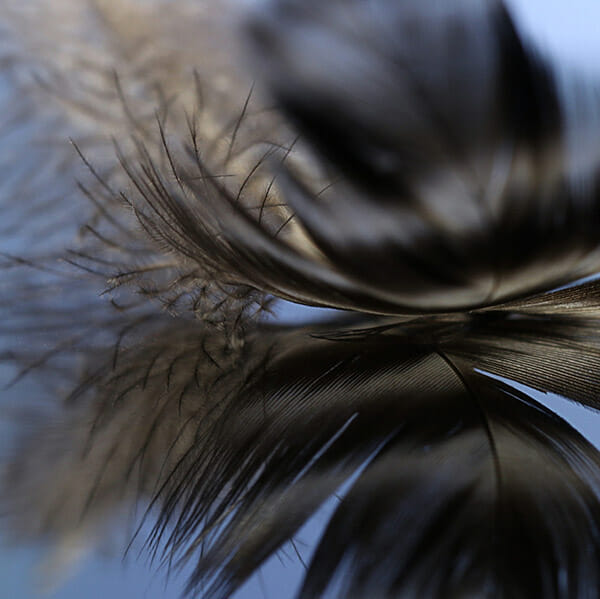 Harrison, iPhotography student, iPhotography course, how to take abstract photographs, copyright, 2020