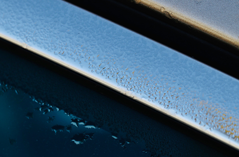 Laura Harrison Abstract photograph