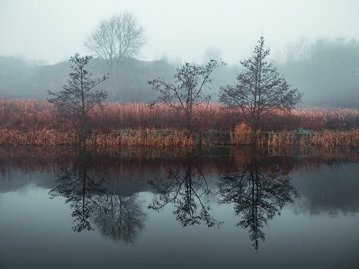 a symmetrical photo of reflections in a canal
