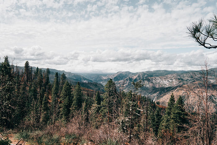removing distractions image example yosemite national park