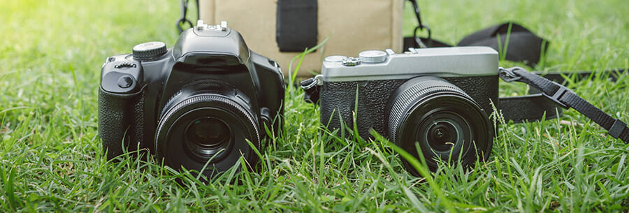 8. mirrorless dslr what camera is best iphotography mirrorless v DSLR cameras on grass