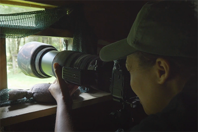 bird hide photo 4 rachel sinclair bird hide photography tips iphotography