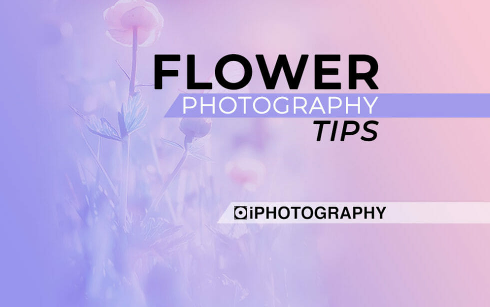 Types Of Paper For Printing Photos