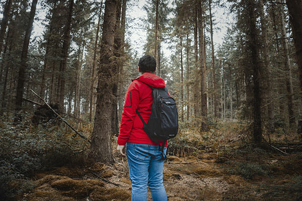 Woodland Photography Tips 5 Woodland Photography Tips 5