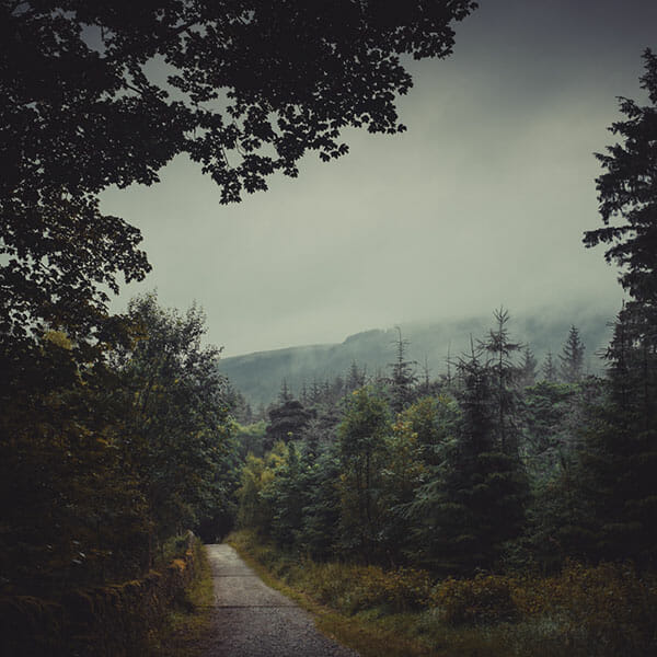 Woodland Photography Tips 8 Woodland Photography Tips 8