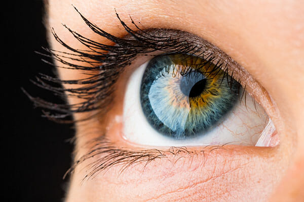 creative angles extreme close up eye macro creative angles extreme close up eye macro