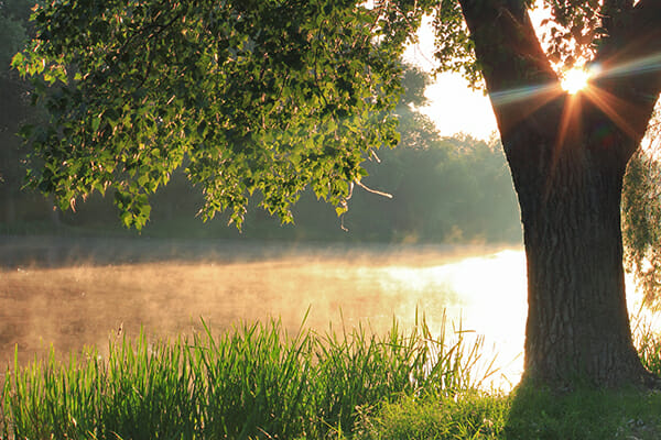 spring photography tips misty river 3 spring photography tips misty river 3