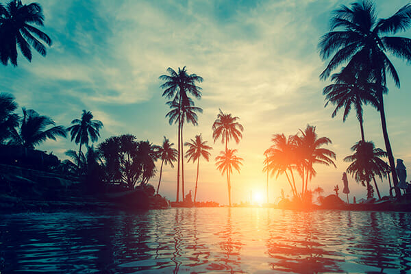 summer photography tips blog 3 pool at sunset with palm trees