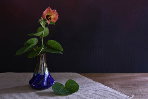 still life photography