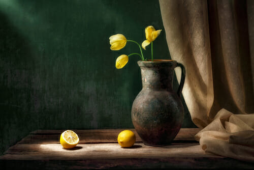 still life photography