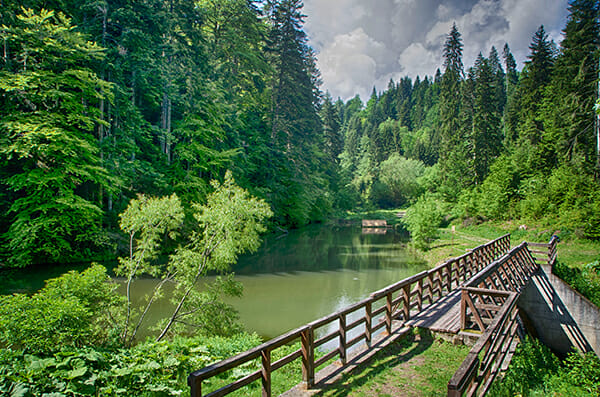 example 5 vertical toolbar photoshop cc image 1