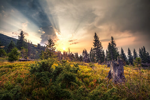 example 2 vertical toolbar photoshop cc image 1