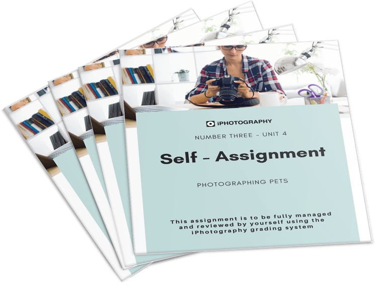 wildlife photography assignments wildlife photography assignments