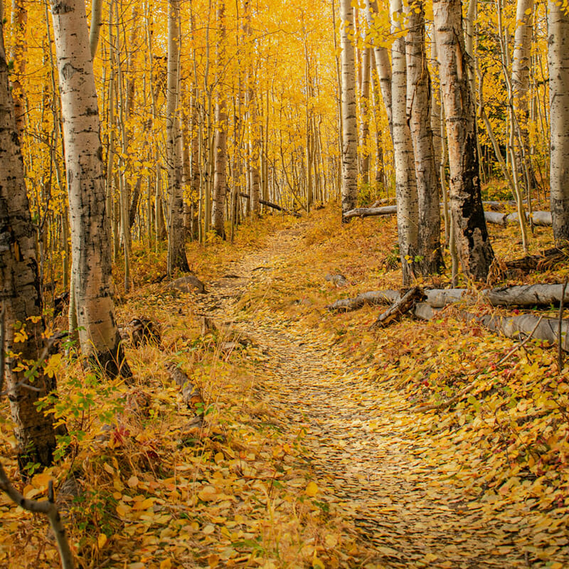 janice-richardson landscape photographs janice-richardson
