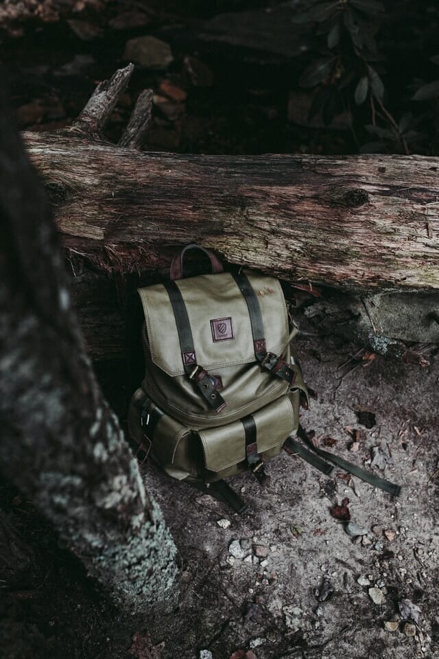 camera bag how to do product photography Camera bag next to a fallen tree trunk muted green colour
