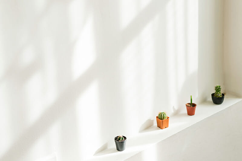 Clean,,White,Indoor,Wall,With,Sunlight,Shadow,Cast,On,,Decorated minimalist photo iphotography rule of thirds example
