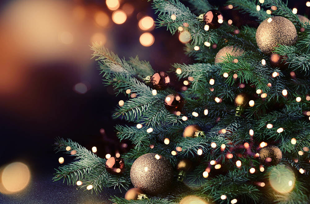 Bokeh Photography Tutorial 3
