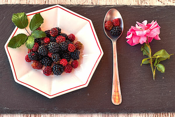 Dish,Of,Wild,Blackberries,,With,Teaspoon,And,Pink,Rose