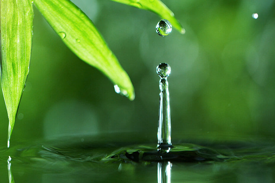 Dropping,Water,With,Palm,Leaf,,Spa,And,Wellness,Concept.,Shot Water Drop Photography Tutorial