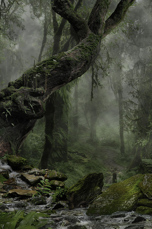 Forest,In,Darkness nature photography tutorial