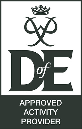 AAP-LOGO-DofE-Gunmetal-DO-NOT-CHANGE-500px-191x300-12