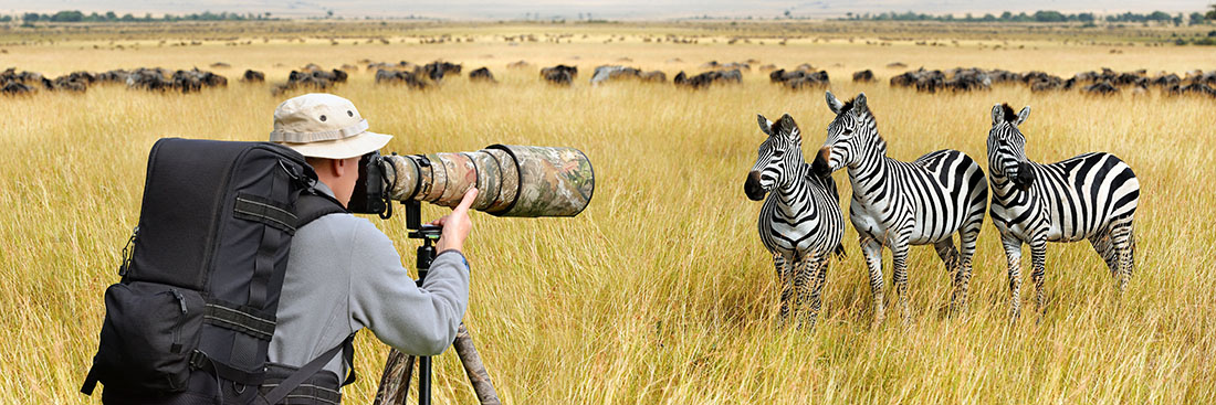 Professional,Wildlife,Photographer,On,Safari.,Zebra,Shot Wildlife Photography Tips