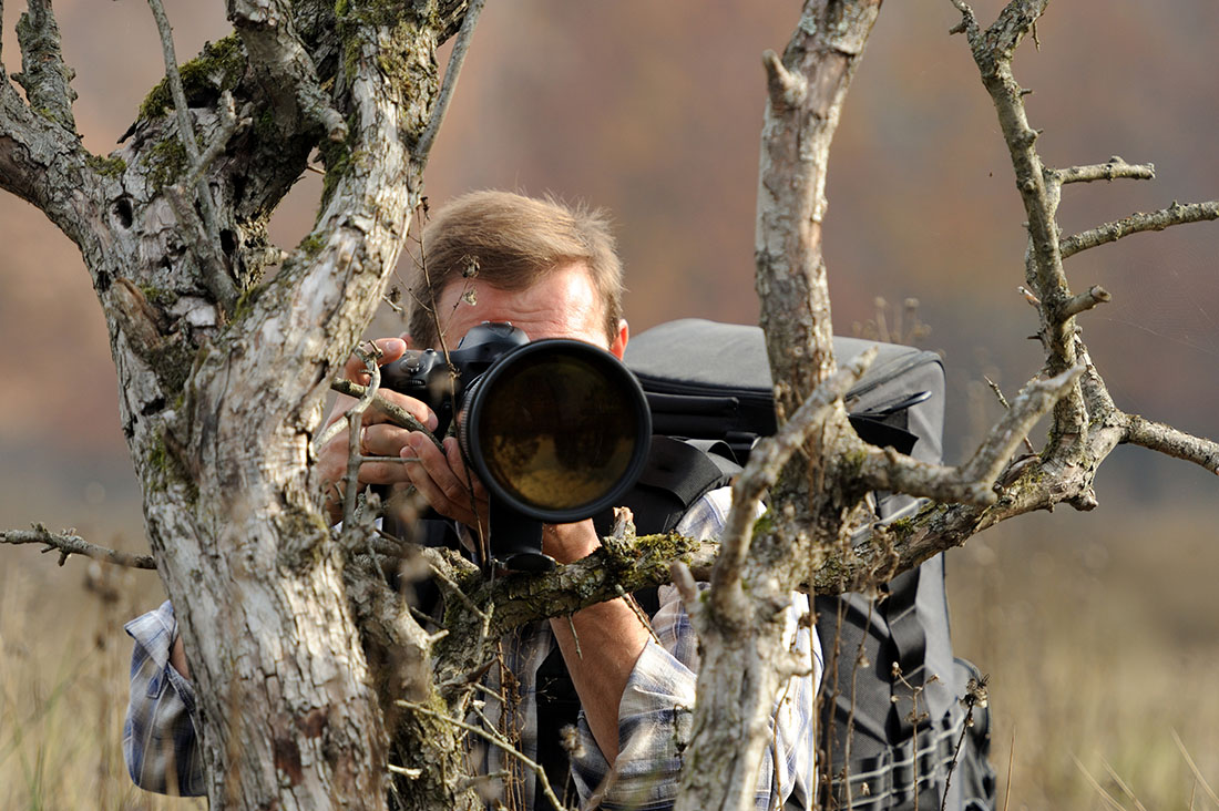 Professional,Photographer,In,Nature Wildlife Photography Tips