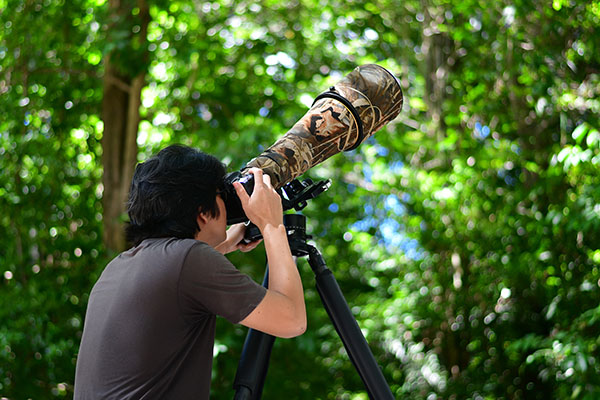 Bird,Watching,,Bird,Watcher,Used,The,Super-telephoto,Camera,To,Take Wildlife Photography Tips