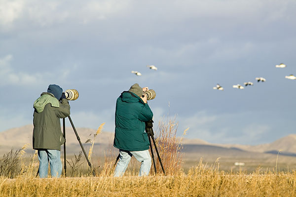Two,Photographers,With,Telephoto,Lens,Photograph,Sandhill,Cranes,And,Snow Wildlife Photography Tips