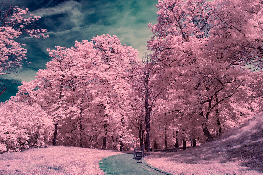 Surrealistic,Infrared,Photo,From,Castle,Spilberk,Park Infrared Photography Tutorial