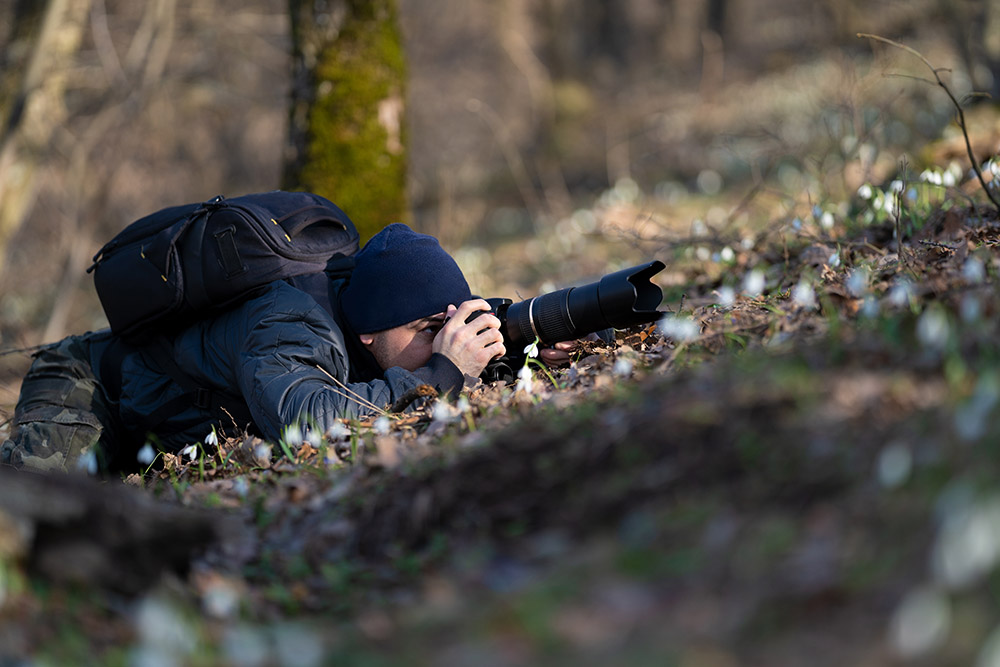 Professional,Photographer,Taking,Picture,In,Nature,With,A,Digital,Camera Nature Photography TIps man behind a camera screen